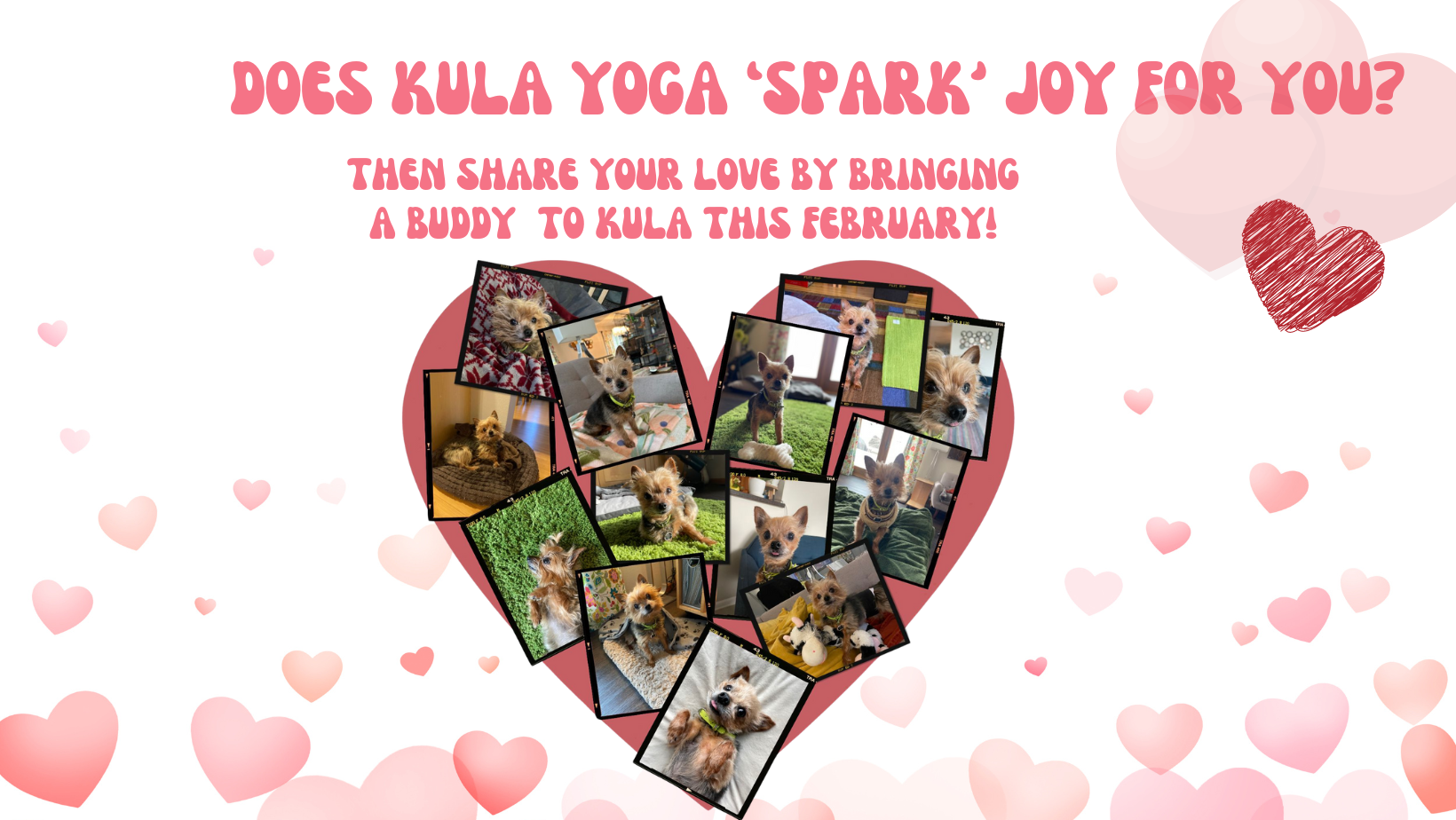 Share your love of Kula with a buddy (or 2) This February